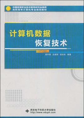 计算机数据恢复技术 pdf epub mobi 电子书 下载