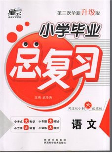 小学毕业总复习语文 pdf epub mobi 电子书 下载