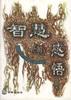 智慧的感悟 pdf epub mobi 电子书 下载