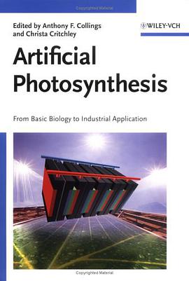 Artificial Photosynthesis pdf epub mobi 電子書 下載