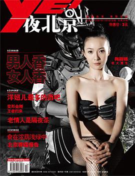 夜北京 pdf epub mobi 电子书 下载