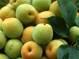 电子元件测量基础 pdf epub mobi 电子书 下载