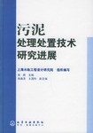 污泥处理处置技术研究进展 pdf epub mobi 电子书 下载