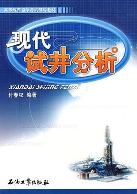 现代试井分析 pdf epub mobi 电子书 下载