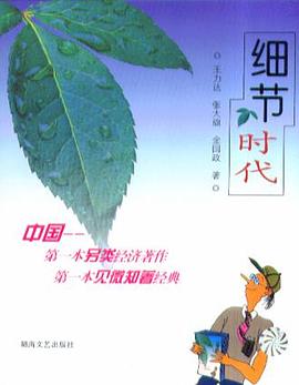 细节时代 pdf epub mobi 电子书 下载