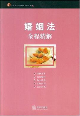 婚姻法全程精解 pdf epub mobi 电子书 下载