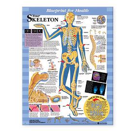 Blueprint for Health Your Skeleton Chart pdf epub mobi 电子书 下载
