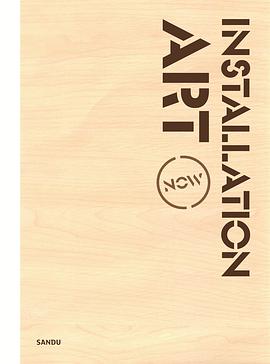 Installation Art Now pdf epub mobi 电子书 下载