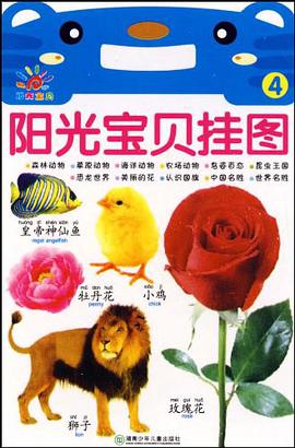 阳光宝贝挂图4 pdf epub mobi 电子书 下载