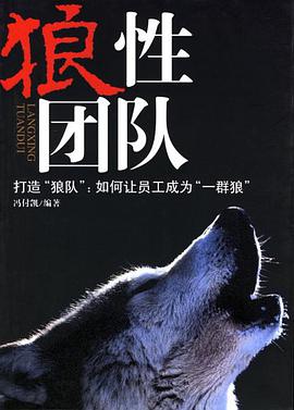 狼性团队 pdf epub mobi 电子书 下载
