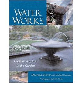 Water Works: Creating a Splash in the Garden pdf epub mobi 电子书 下载