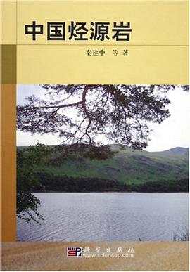 中国烃源岩 pdf epub mobi 电子书 下载