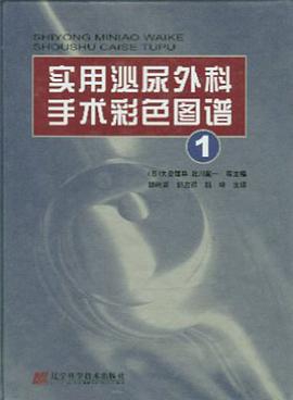 实用泌尿外科手术彩色图谱1 pdf epub mobi 电子书 下载