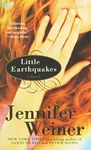LITTLE EARTHQUAKES