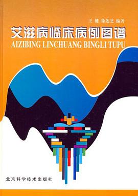 艾滋病臨床病例圖譜 pdf epub mobi 電子書 下載