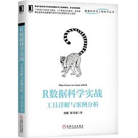 R数据科学实战：工具详解与案例分析 pdf epub mobi 电子书 下载