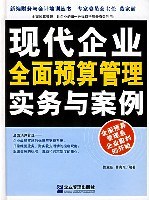 现代企业全面预算管理实务与案例