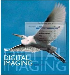 The Complete Guide to Digital Imaging pdf epub mobi 電子書 下載