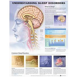 Understanding Sleep Disorders Anatomical Chart pdf epub mobi 电子书 下载