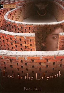 Lost in the Labyrinth pdf epub mobi 电子书 下载