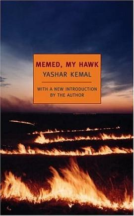 Memed, My Hawk pdf epub mobi 电子书 下载
