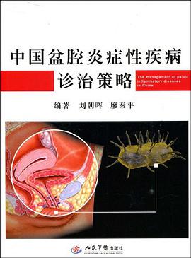 中国盆腔炎症性疾病诊治策略 pdf epub mobi 电子书 下载