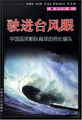 驶进台风眼 pdf epub mobi 电子书 下载