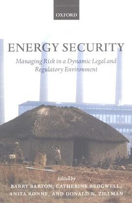 Energy Security pdf epub mobi 电子书 下载