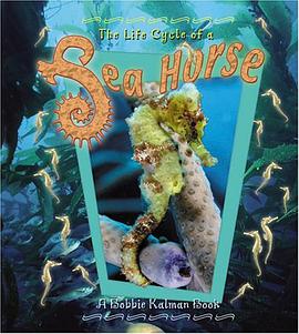 The Life Cycle of a Sea Horse pdf epub mobi 电子书 下载