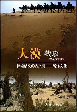 大漠藏珍