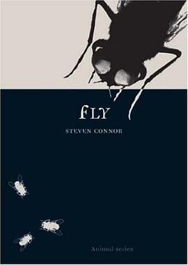 Fly pdf epub mobi 电子书 下载