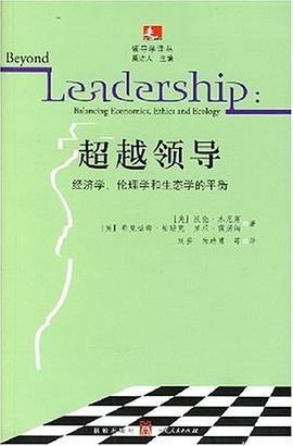 超越领导 pdf epub mobi 电子书 下载