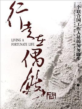 行走在偶然间-一个联合国工作人员的匆匆脚步 pdf epub mobi 电子书 下载