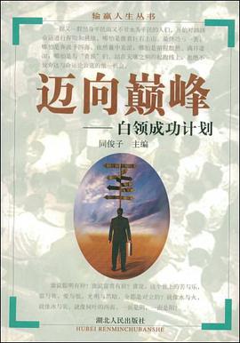 迈向巅峰 pdf epub mobi 下载