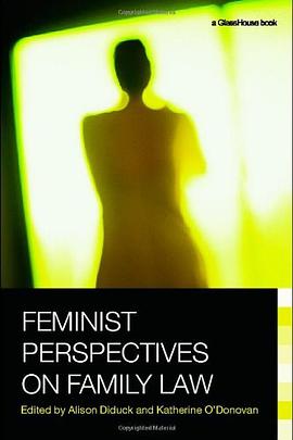 Feminist Perspectives on Family Law pdf epub mobi 电子书 下载