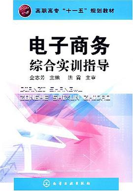 电子商务综合实训指导 pdf epub mobi 电子书 下载