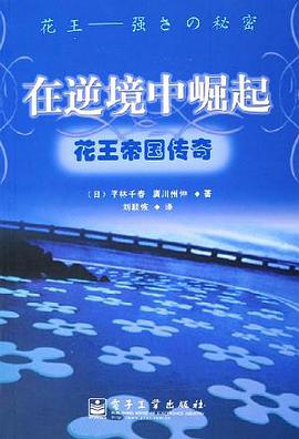 在逆境中崛起 pdf epub mobi 电子书 下载
