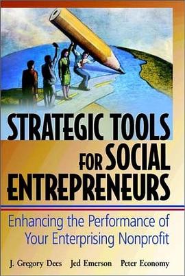 Strategic Tools for Social Entrepreneurs pdf epub mobi 電子書 下載