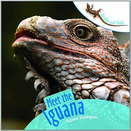 Meet the Iguana pdf epub mobi 电子书 下载