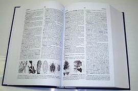 Illustrated Dictionary of Esperanto  Plena Ilustrita Vortaro de Esperanto pdf epub mobi 电子书 下载