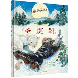 圣诞靴 pdf epub mobi 电子书 下载
