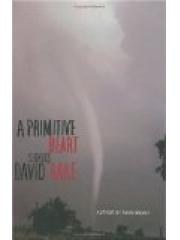 A Primitive Heart: Stories pdf epub mobi 电子书 下载