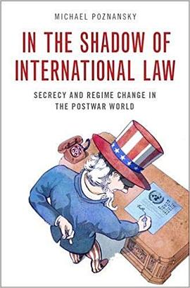 In the Shadow of International Law pdf epub mobi 电子书 下载