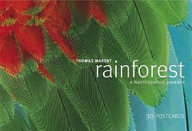 Rainforest pdf epub mobi 电子书 下载