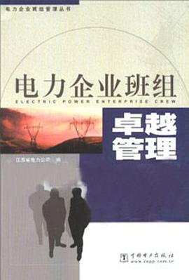 电力企业班组卓越管理 pdf epub mobi 电子书 下载