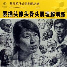 素描头像头骨头肌理解训练 pdf epub mobi 电子书 下载