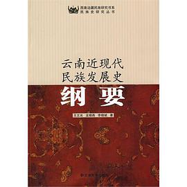 云南近现代民族发展史纲要 pdf epub mobi 电子书 下载