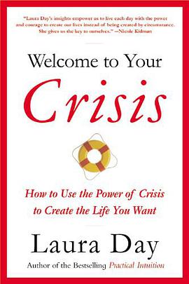 Welcome to Your Crisis pdf epub mobi 电子书 下载