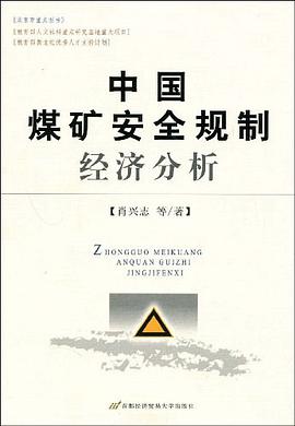 中国煤矿安全规制经济分析 pdf epub mobi 电子书 下载