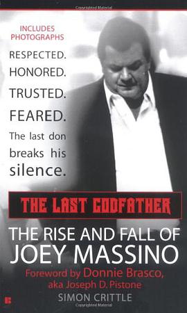 The Last Godfather pdf epub mobi 电子书 下载